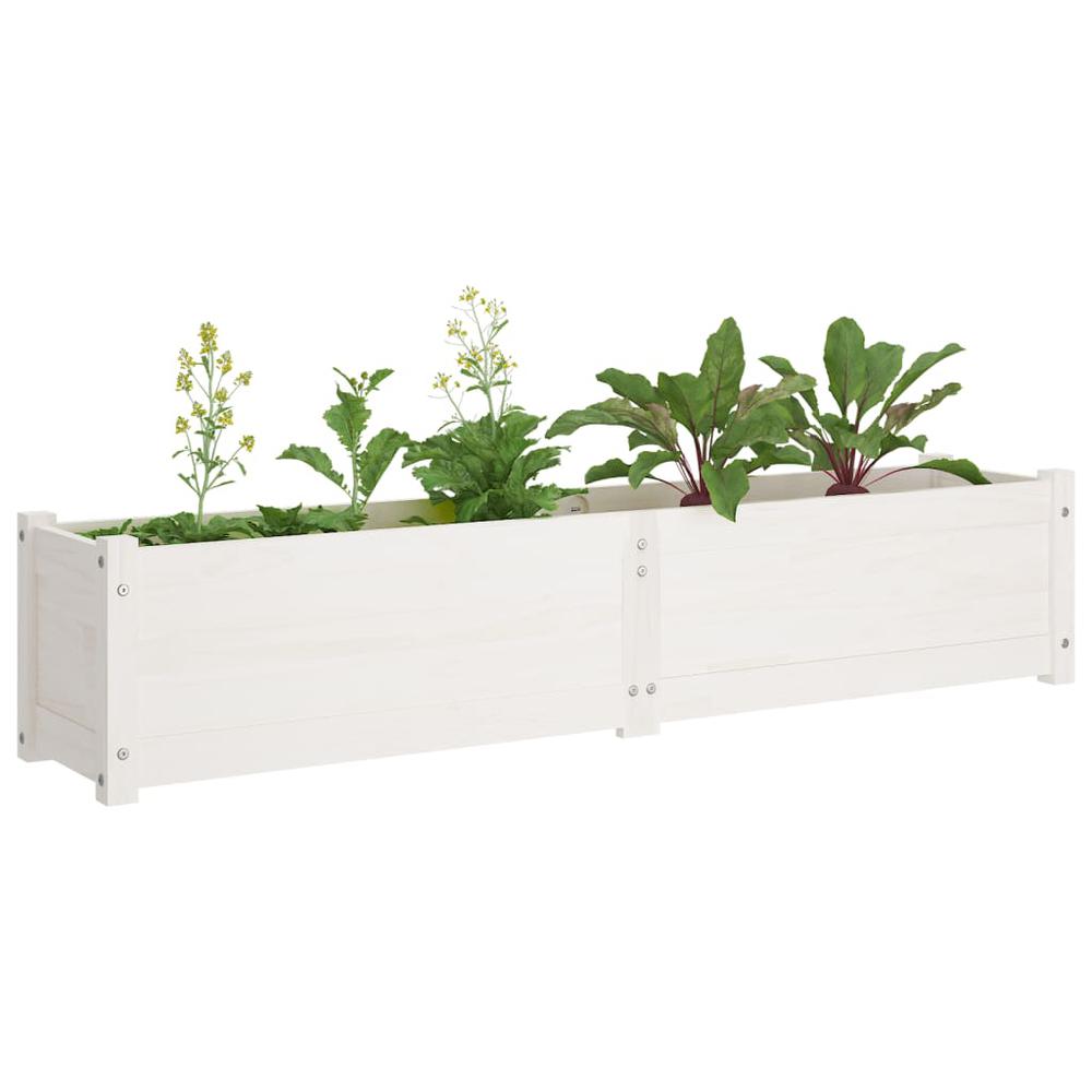 Garden Raised Beds 2 pcs White 59.1"x12.2"x12.2" Solid Wood Pine. Picture 3