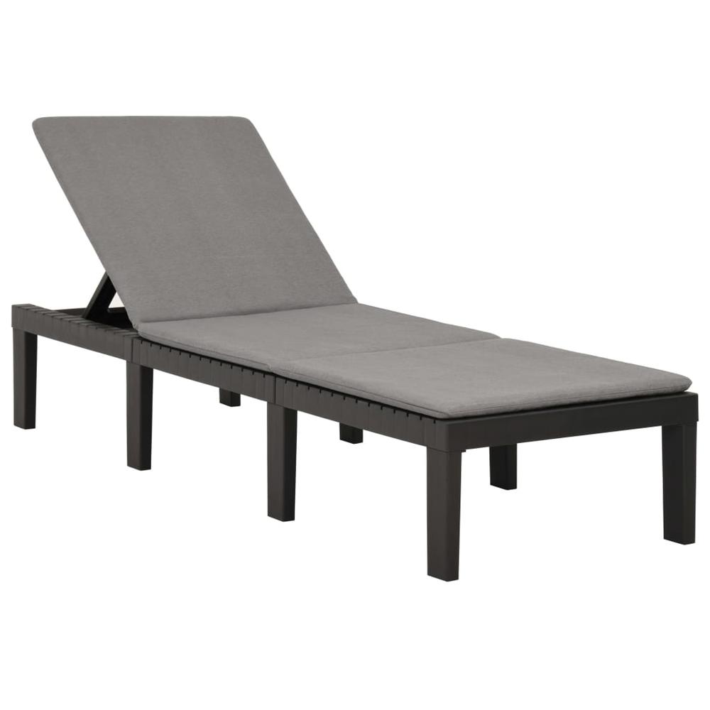 vidaXL Sun Lounger with Cushion Plastic Anthracite. Picture 1