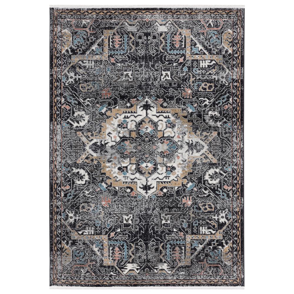Abani Azure Collection AZR150A Black Faded Medallion Persian Area Rug  - 4 x 6. Picture 1
