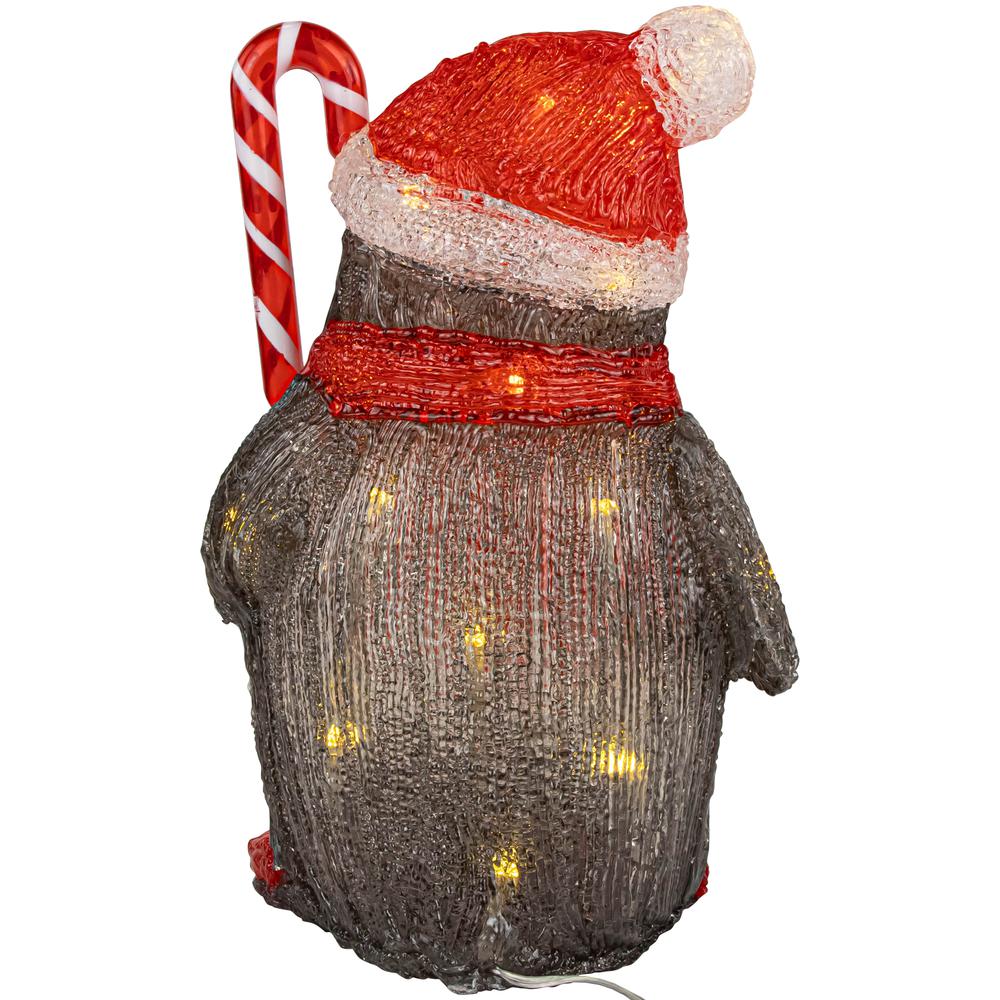 12" LED Lighted Grade Acrylic Santa Penguin Outdoor Christmas Decoration. Picture 6