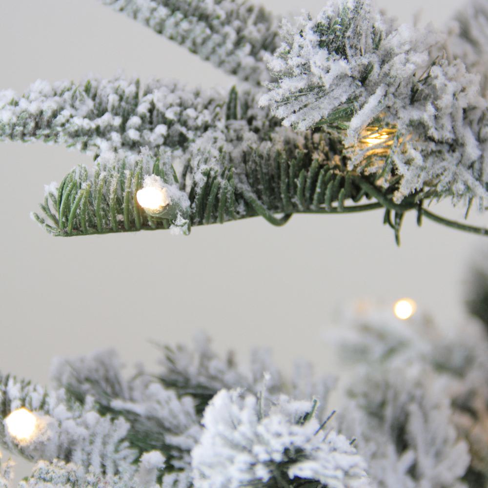 6.5' Pre-Lit Flocked Slim Nordmann Fir Artificial Christmas Tree - Warm Clear LED Lights. Picture 2
