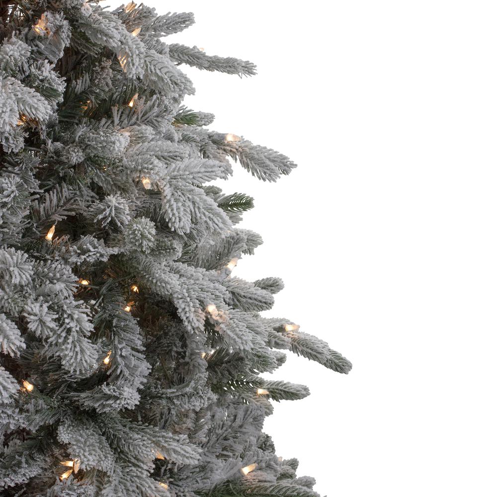 6.5' Pre-Lit Flocked Saratoga Spruce Artificial Christmas Tree - Clear Lights. Picture 4