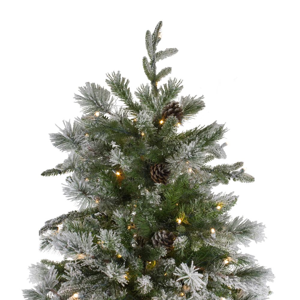 9' Flocked Rosemary Emerald Angel Pine Christmas Tree - Clear LED Lights. Picture 4