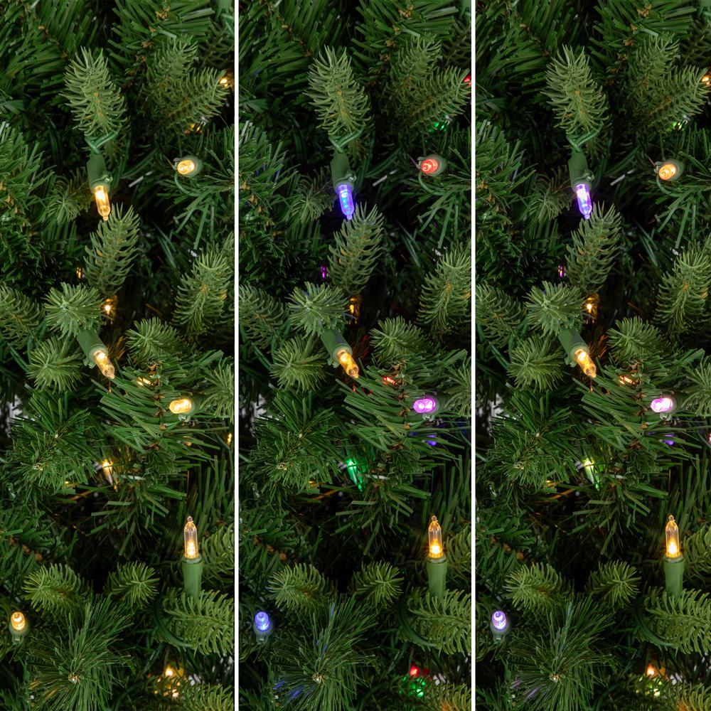 Frasier Fir Slim Christmas Tree - 6.5' - Dual Color LED Lights. Picture 4