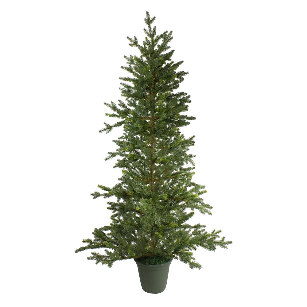 6' Potted Noble Pine Slim Artificial Christmas Tree - Unlit. Picture 1