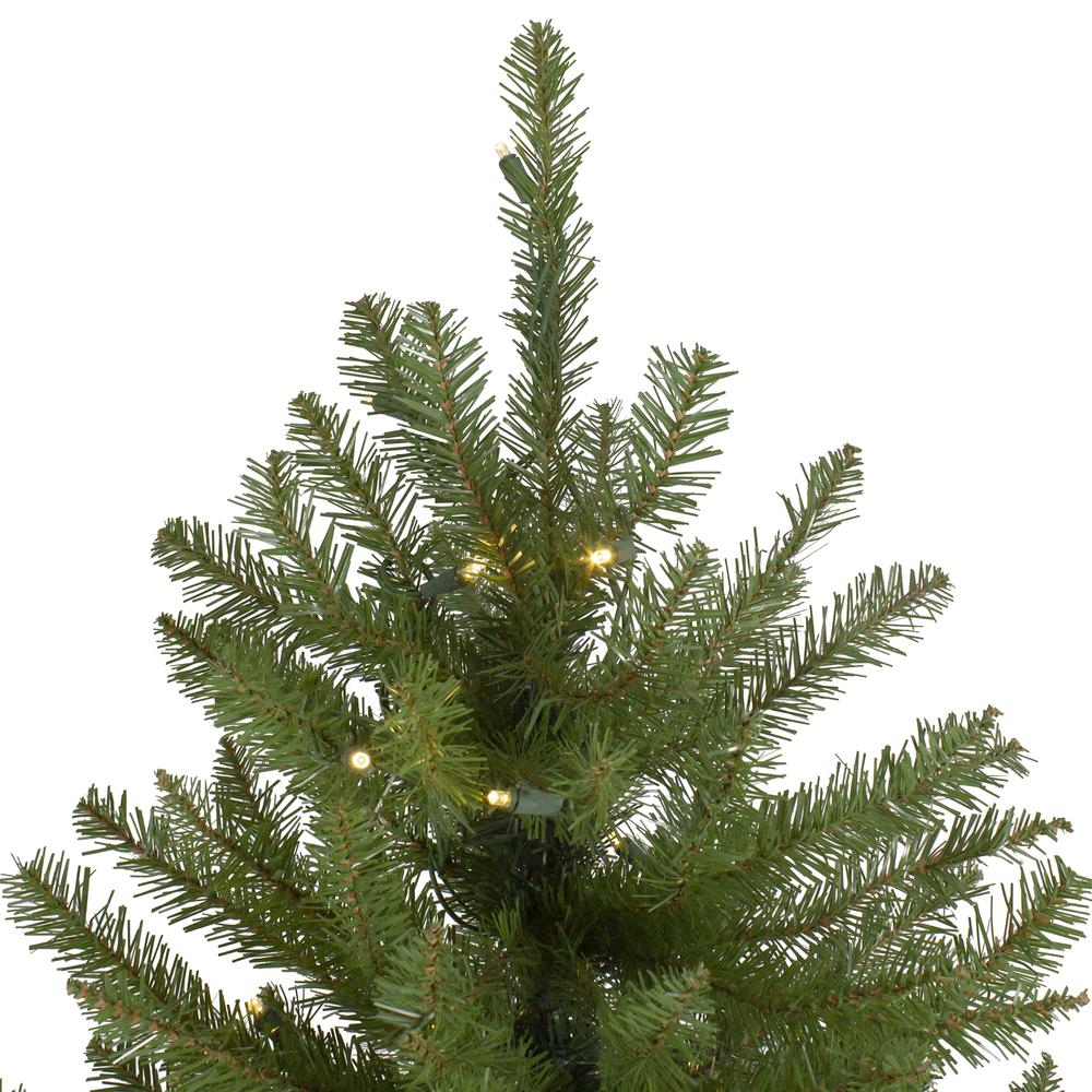 12' Pre-lit Northern Pine Full Artificial Christmas Tree - Warm Clear LED Lights. Picture 3