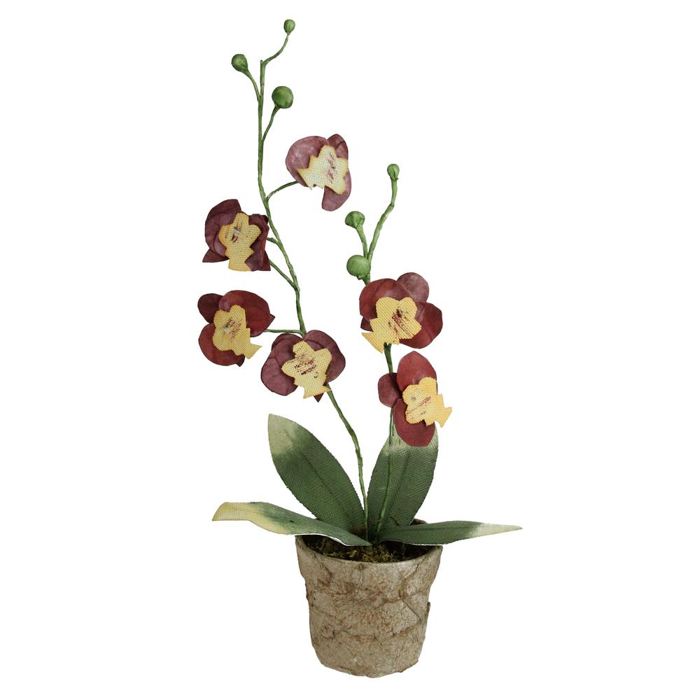14" Crimson Red and Banana Yellow Decorative Orchids in Pot. Picture 1