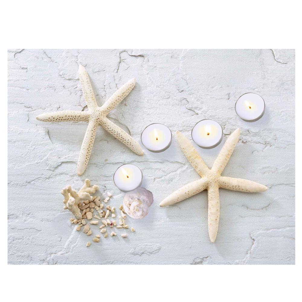 LED Lighted Starfish  Seashell and Tea Light Candles Canvas Wall Art 15.75". Picture 1