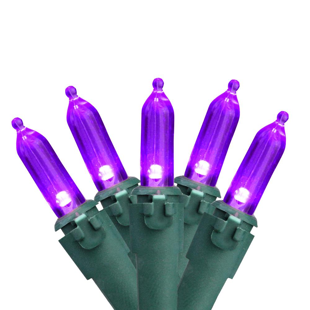 Set of 50 Purple LED Mini Christmas Lights 4" Spacing - Green Wire. Picture 1