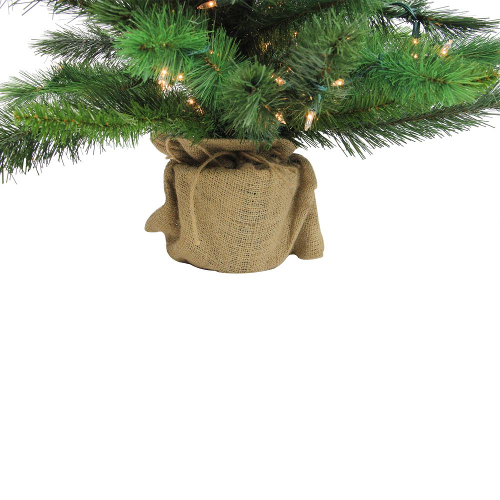 3' Pre-Lit Potted New Carolina Spruce Medium Artificial Christmas Tree - Clear Lights. Picture 4