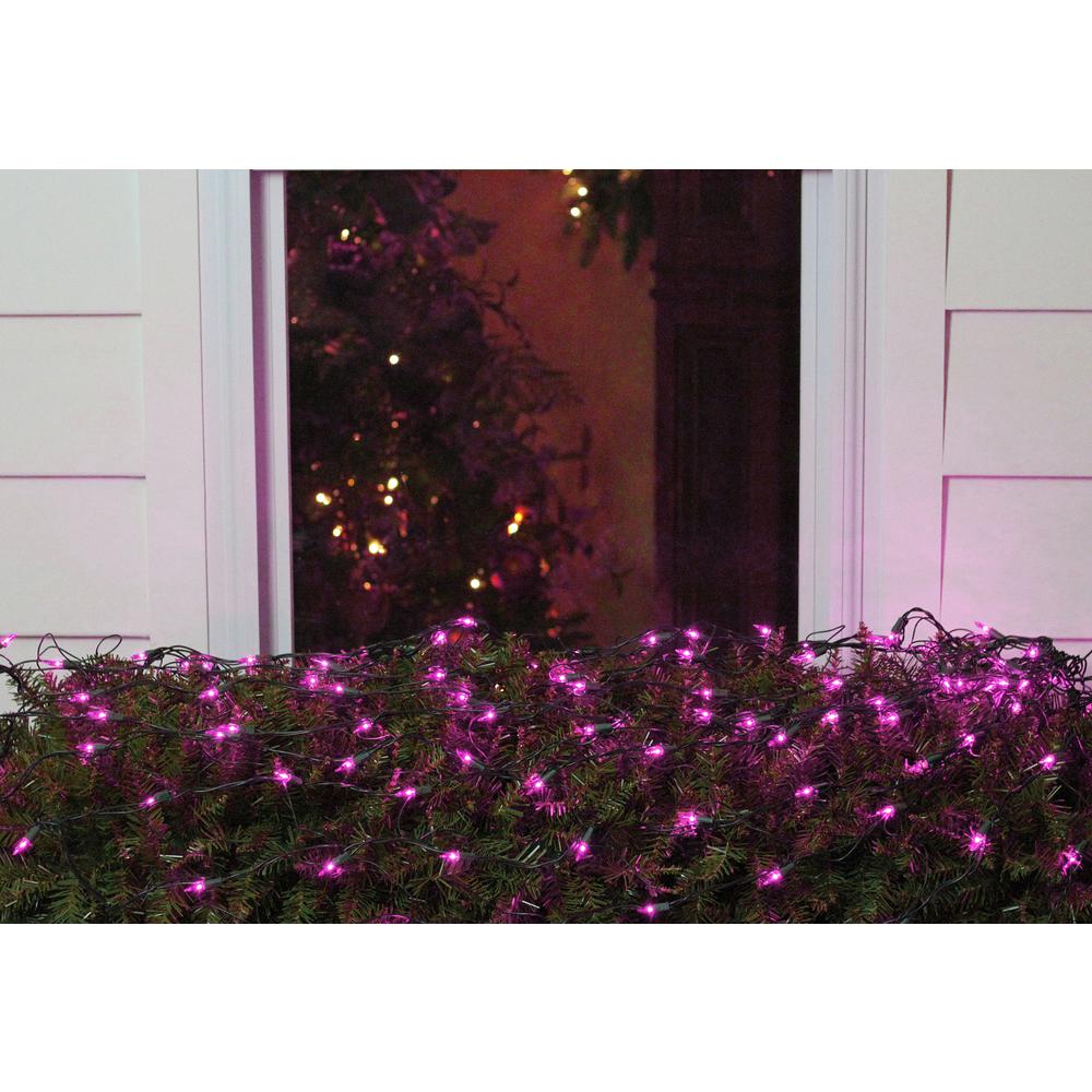 4' x 6' Purple Incandescent Mini Net Style Christmas Lights - Green Wire. Picture 2