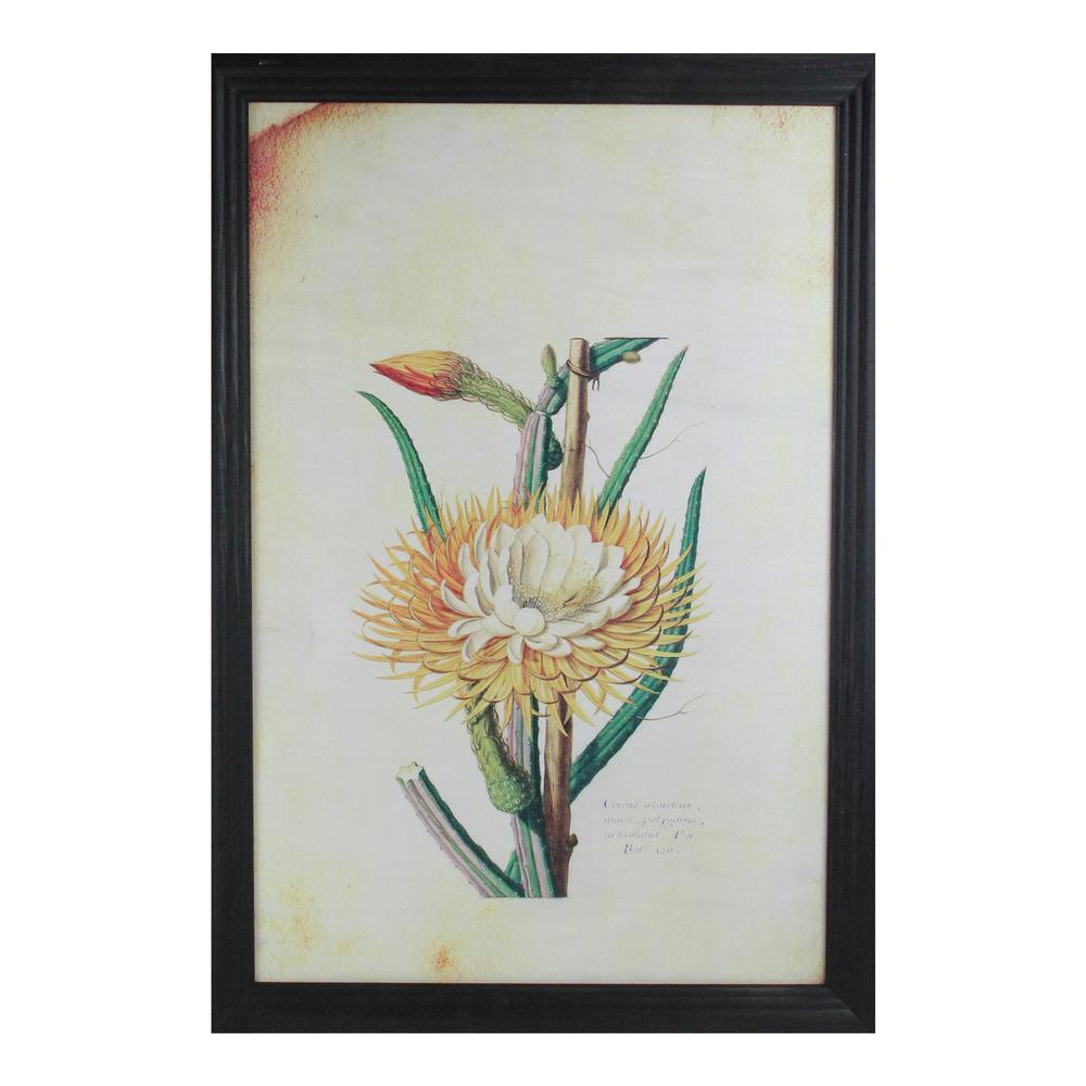 26" Yellow and Green Desert Baileya Flower with Black Photo Frame. The main picture.