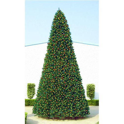 15' Pre-Lit Green Pencil Pine Artificial Christmas Tree - Multi Lights. Picture 3