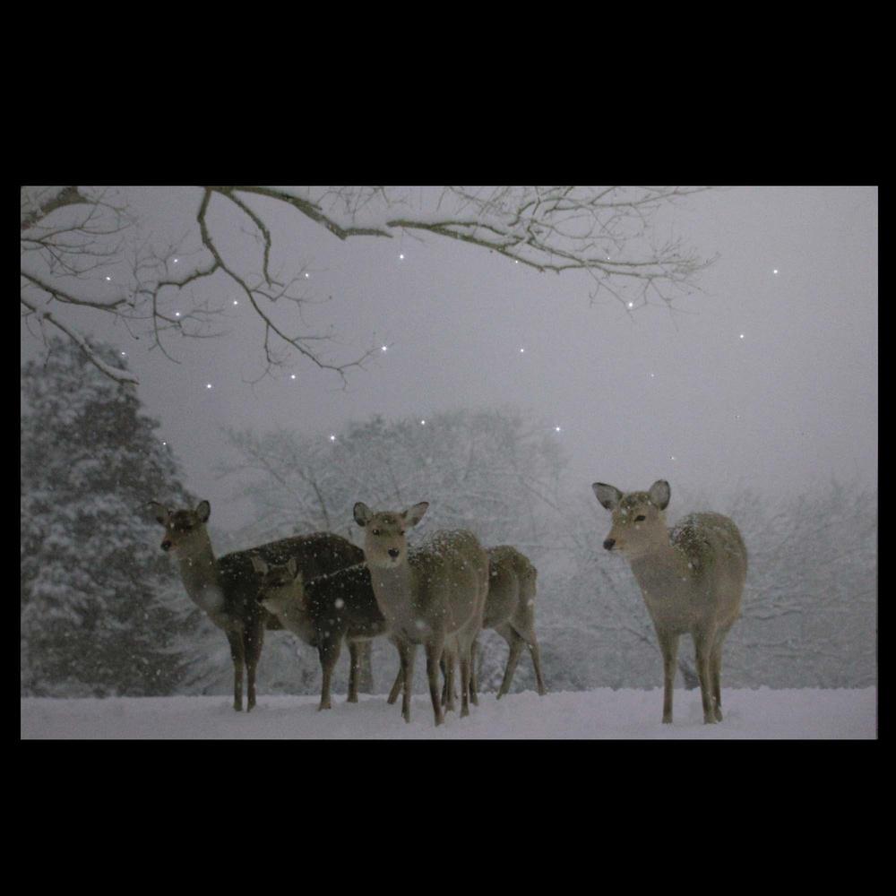 Large Fiber Optic Lighted Winter Woods with Deer Canvas Wall Art 23.5" x 15.5". Picture 3