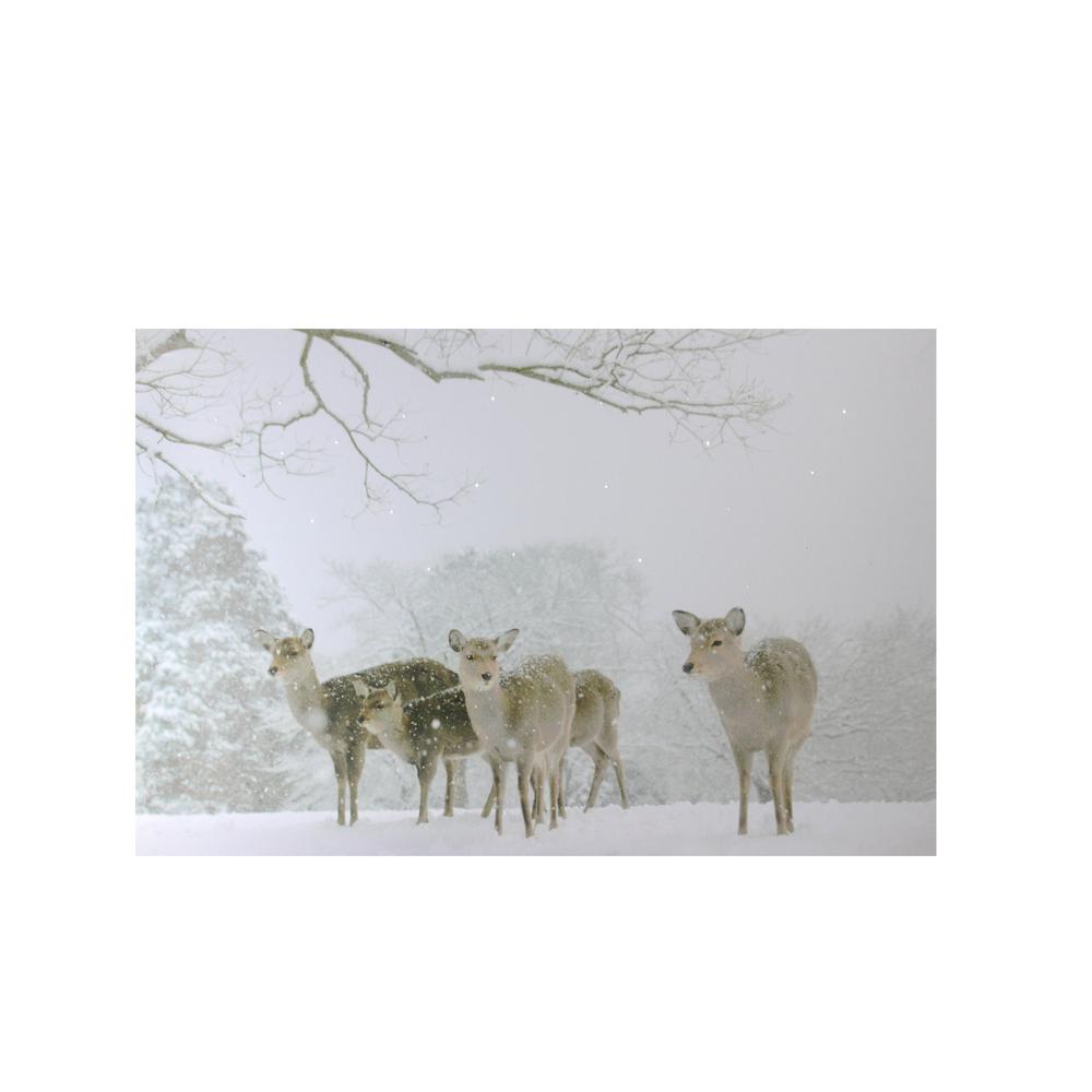 Small Fiber Optic Lighted Winter Woods with Deer Canvas Wall Art 12" x 11.75". Picture 1