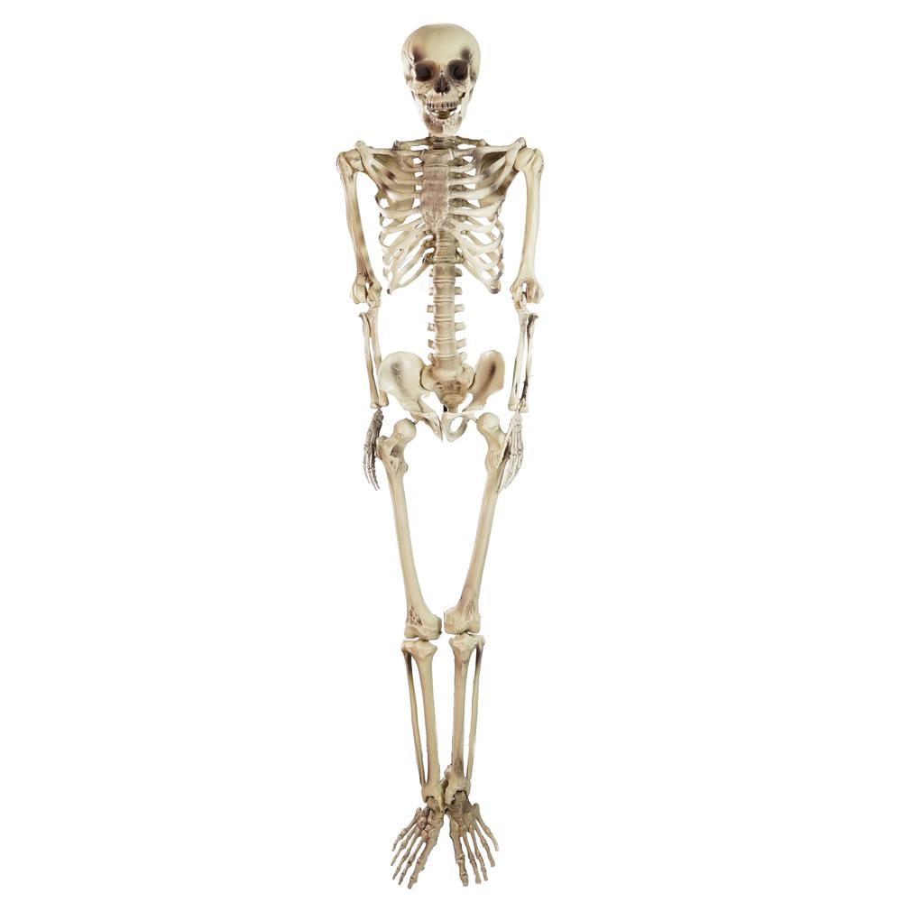 5' Life Size Skeleton Halloween Decoration. Picture 1