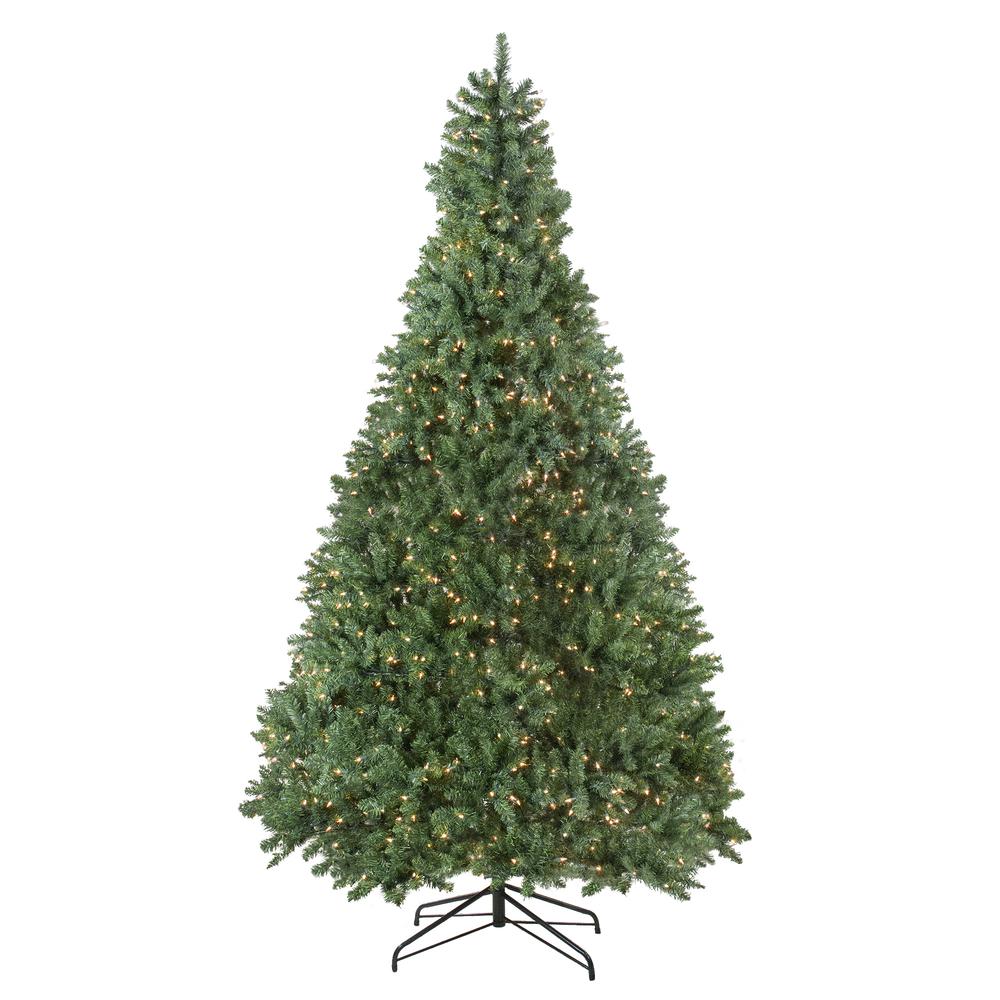 9.5' Pre-Lit Full Buffalo Fir Artificial Christmas Tree - Clear Lights. Picture 1