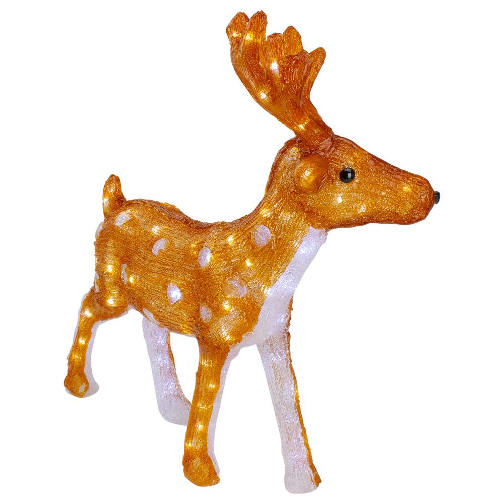 24" Lighted Commercial Grade Acrylic Reindeer with Antlers Christmas Display Decoration. Picture 3