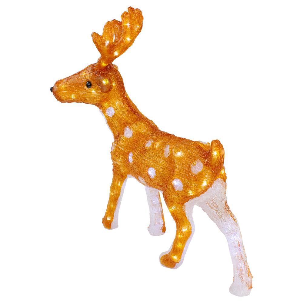 24" Lighted Commercial Grade Acrylic Reindeer with Antlers Christmas Display Decoration. Picture 4