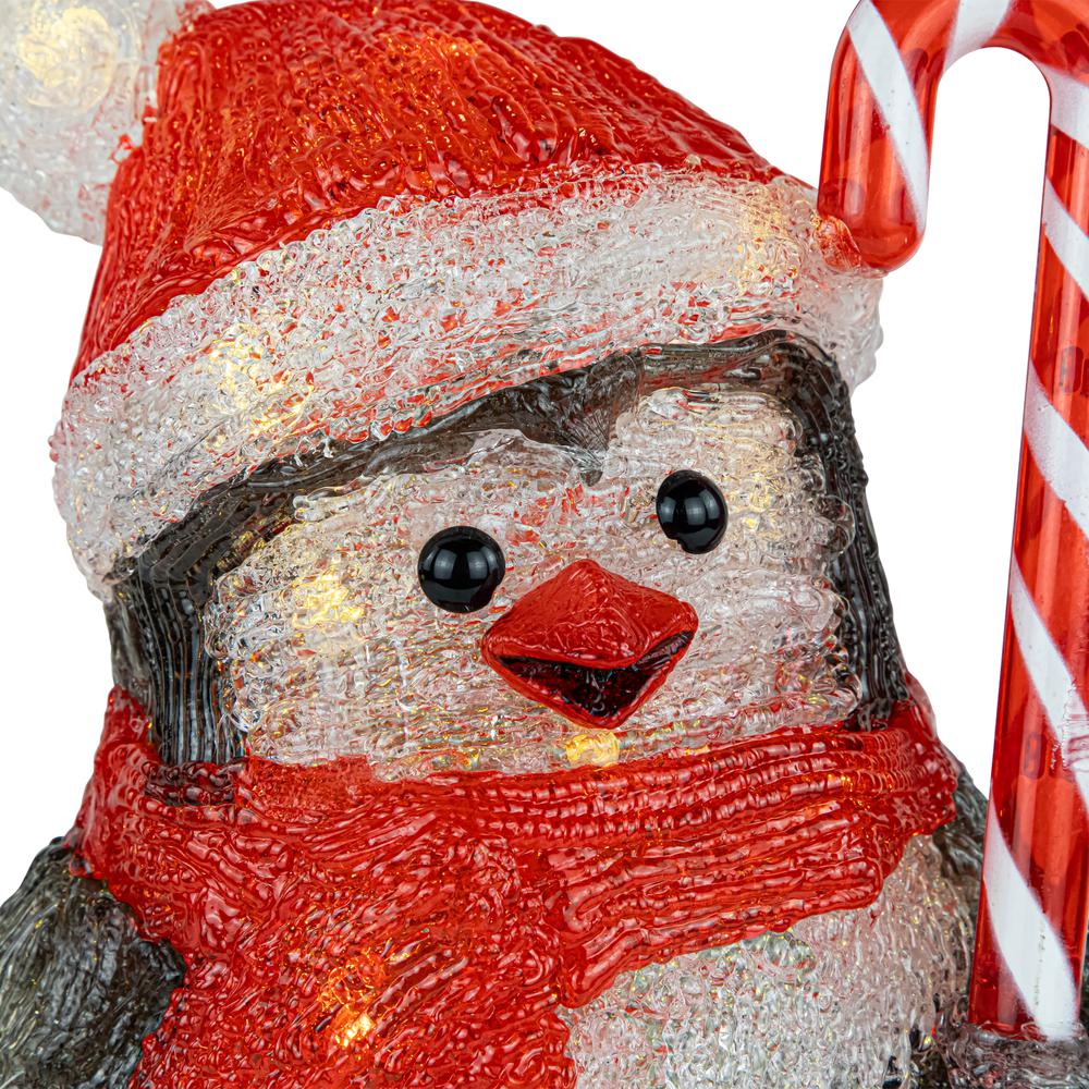 12" LED Lighted Grade Acrylic Santa Penguin Outdoor Christmas Decoration. Picture 7