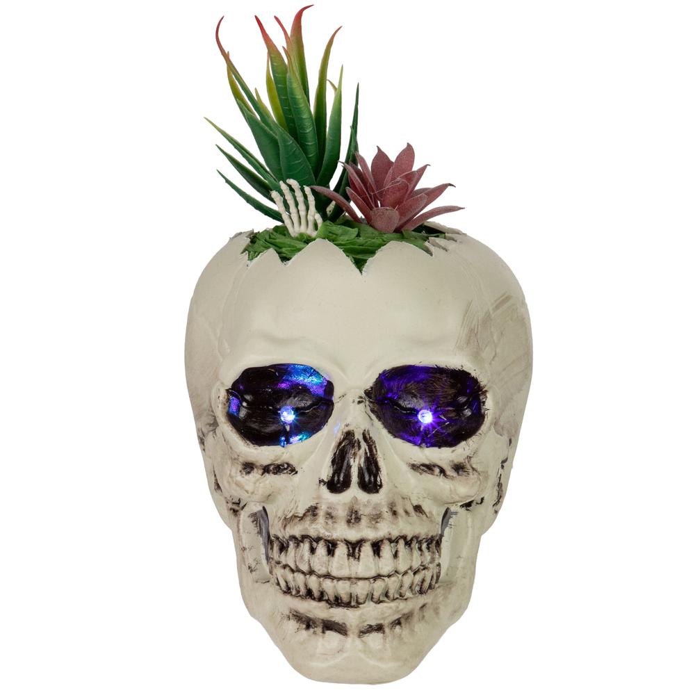 8.75" LED Lighted Succulent Halloween Skull Planter. Picture 1
