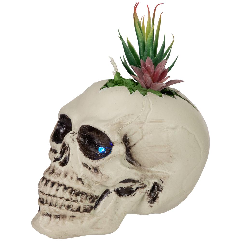 8.75" LED Lighted Succulent Halloween Skull Planter. Picture 3