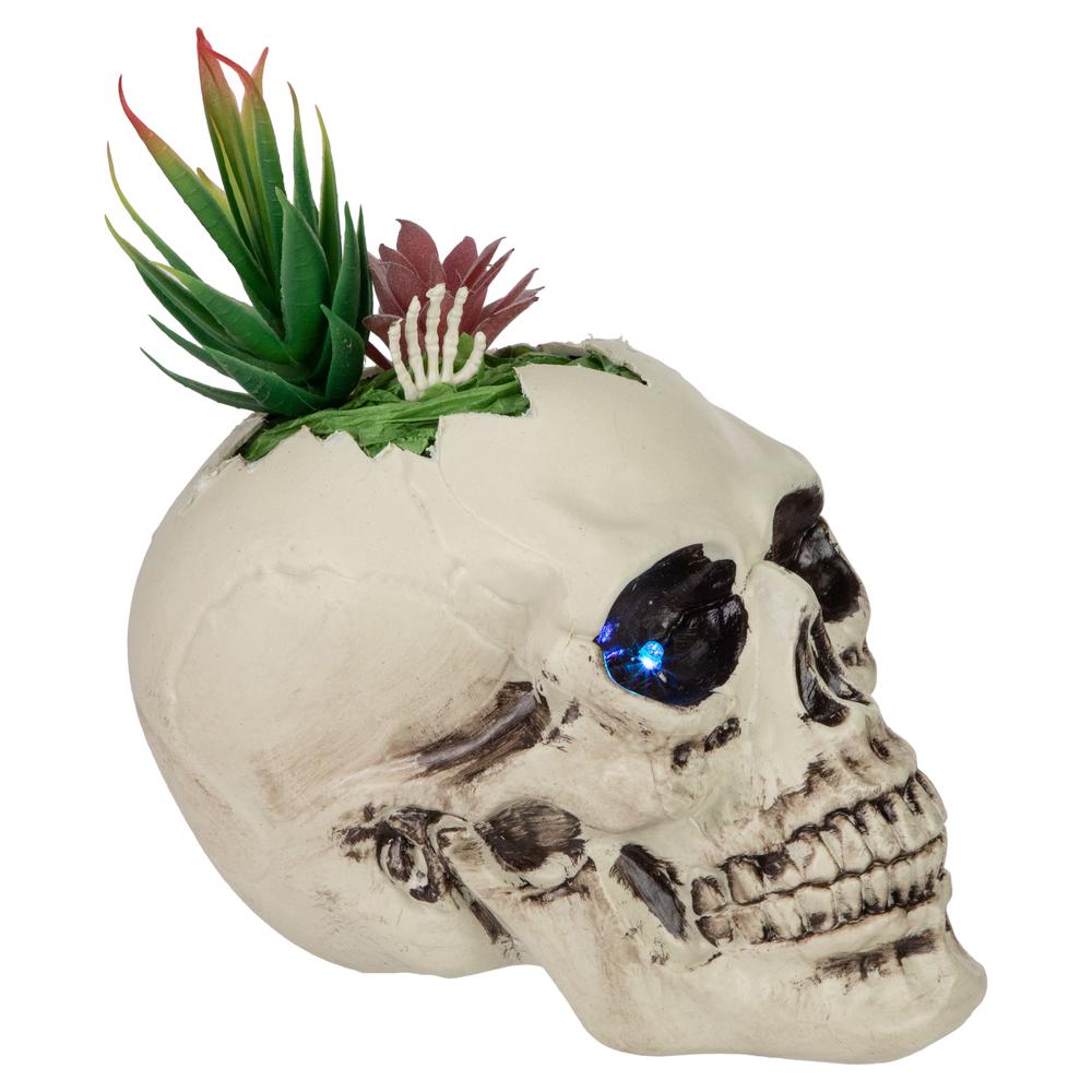 8.75" LED Lighted Succulent Halloween Skull Planter. Picture 2