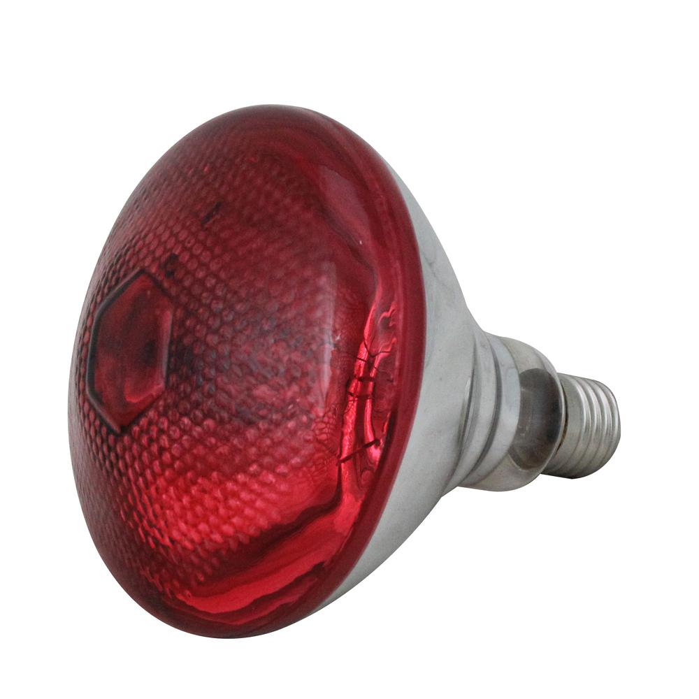 Incandescent Weatherproof 100 Watt Indoor/Outdoor Red Flood Light Bulb. Picture 1