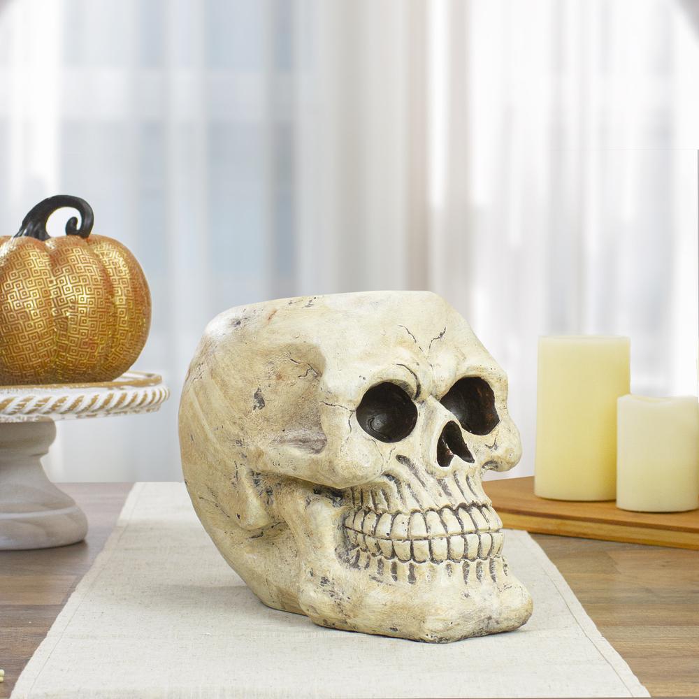 11" Ivory and Black Halloween Skull Tabletop Decoration. Picture 2