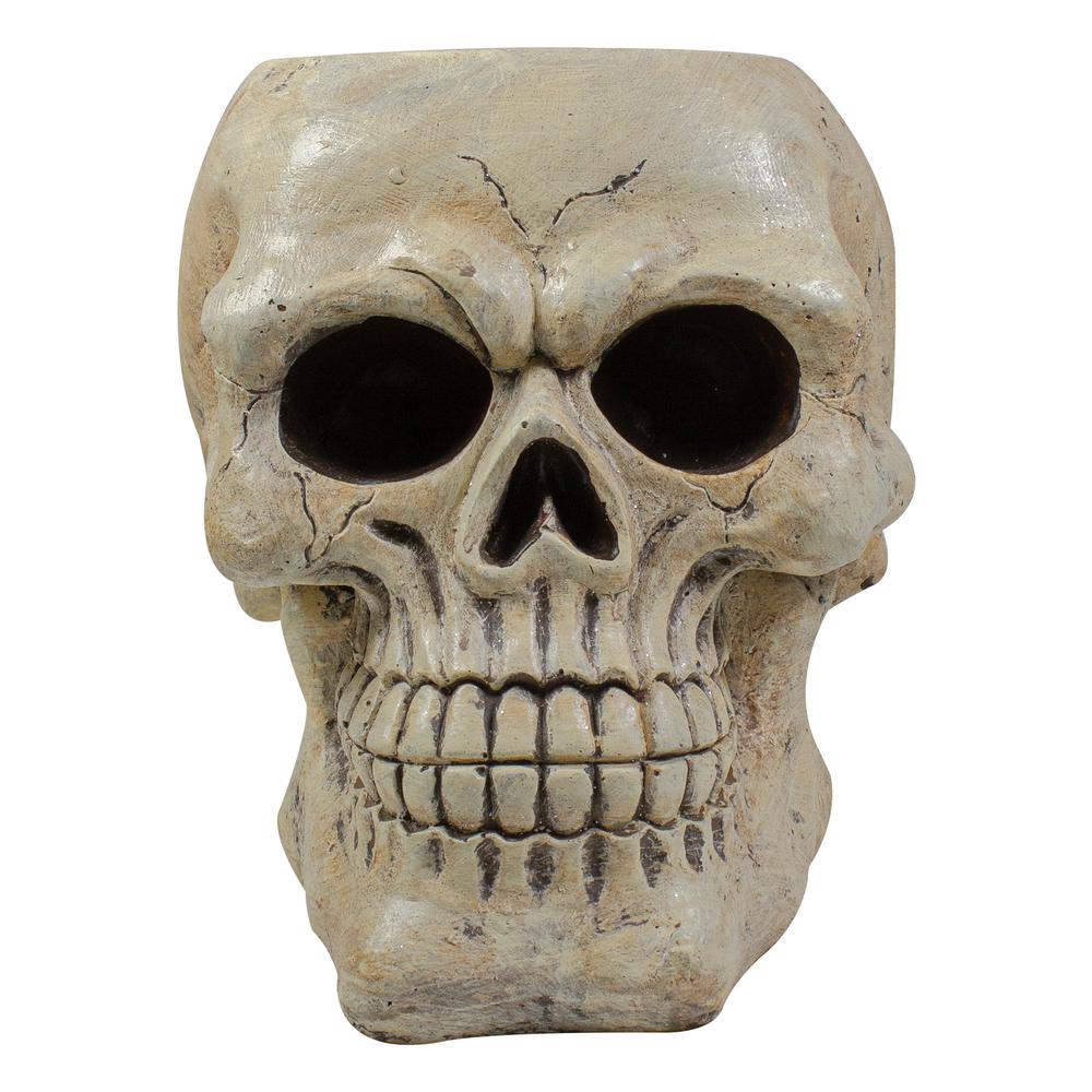 11" Ivory and Black Halloween Skull Tabletop Decoration. Picture 3