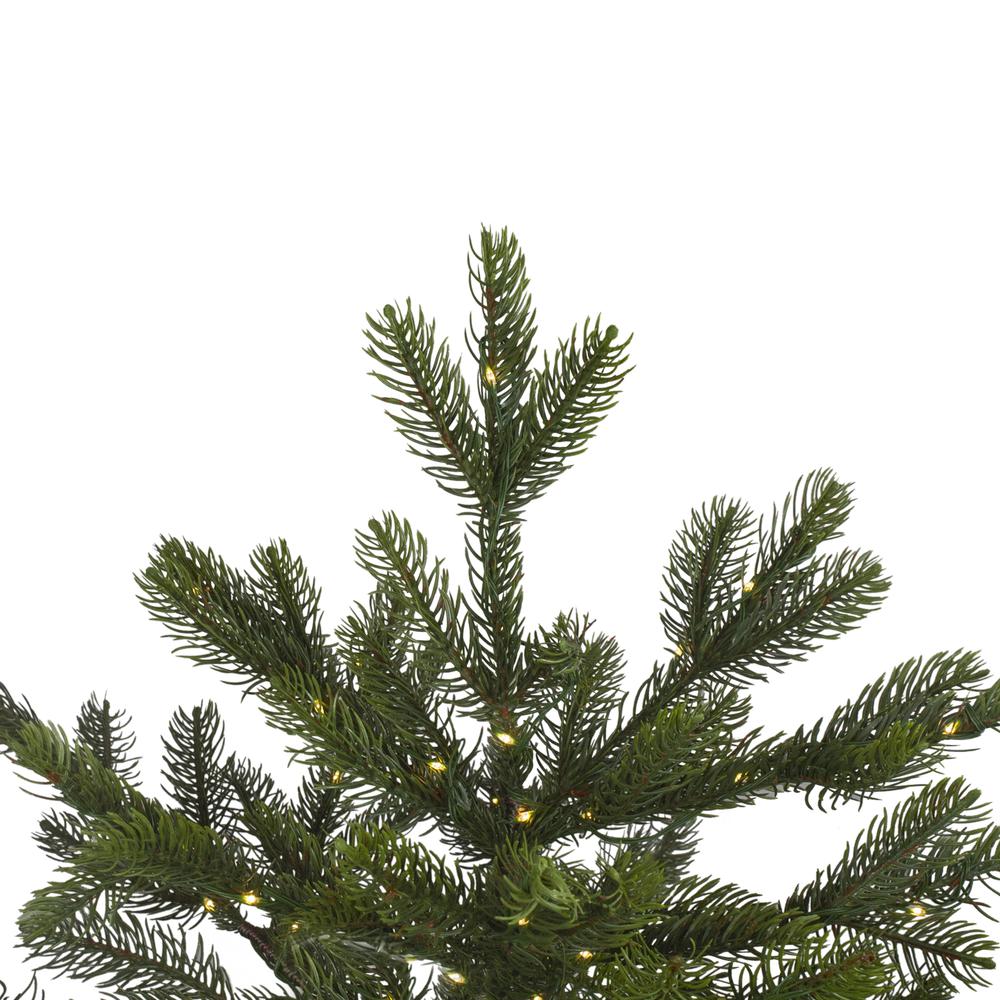 Pre-Lit Full Oregon Noble Artificial Christmas Tree 7.5'-Warm White LED Lights. Picture 2