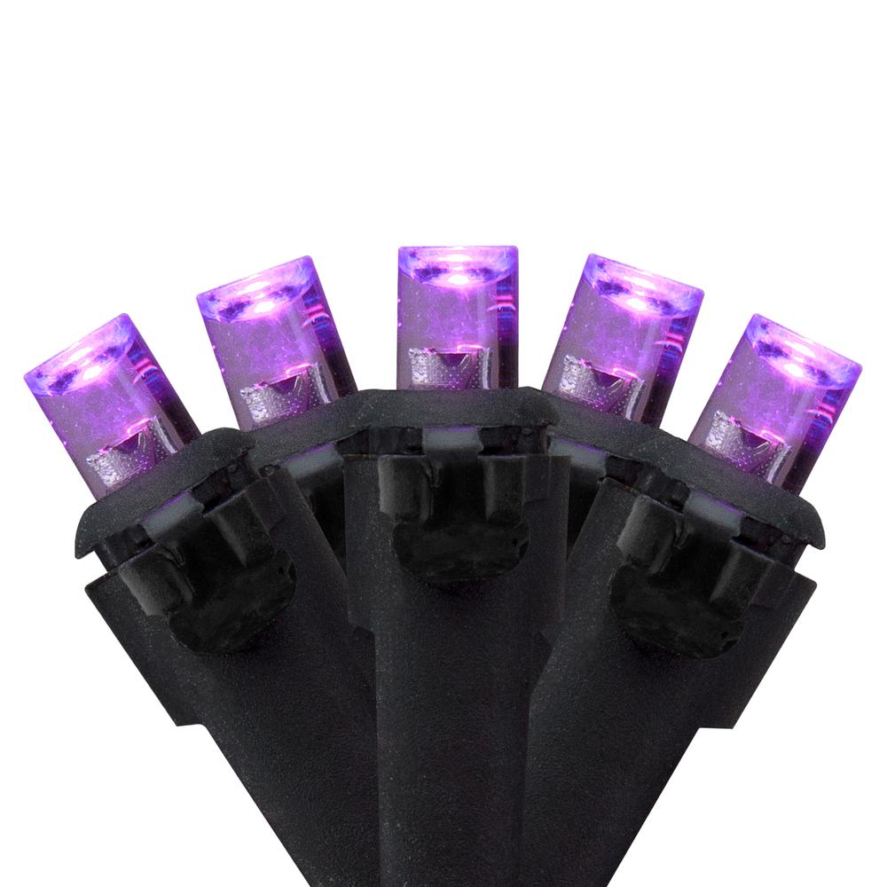 50 Count Wide Angle Purple LED Christmas Lights  16 ft Black Wire. Picture 1