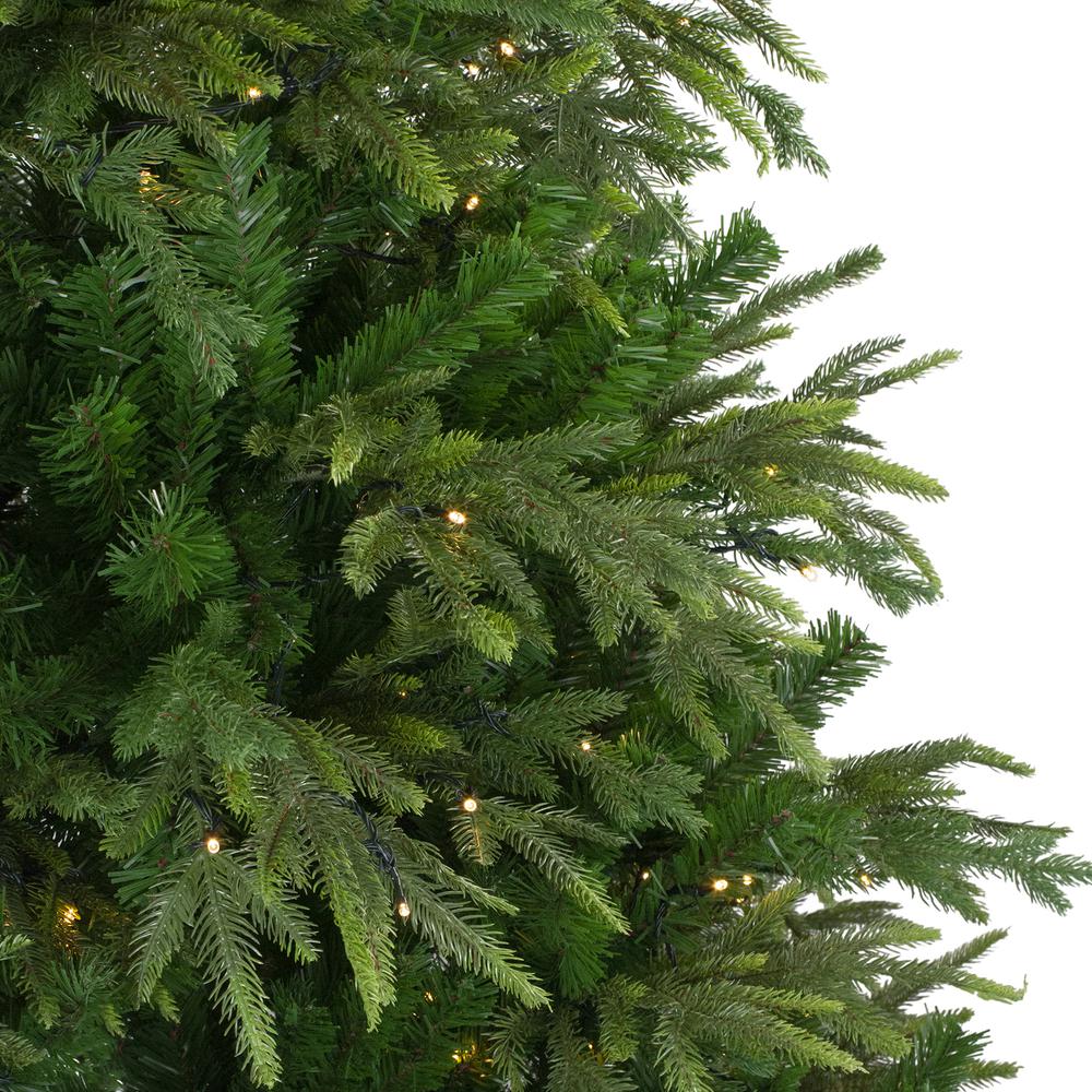7.5' Pre-Lit Full Roosevelt Fir Artificial Christmas Tree - Warm White LED Lights. Picture 4