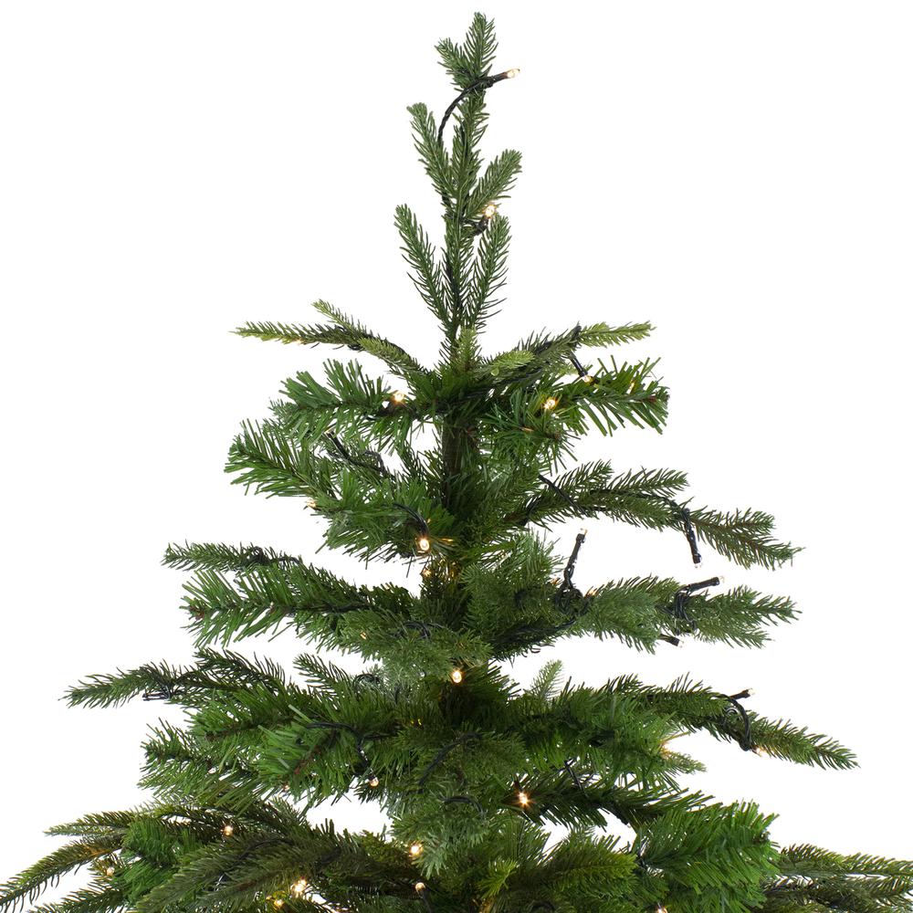 7.5' Pre-Lit Full Roosevelt Fir Artificial Christmas Tree - Warm White LED Lights. Picture 5