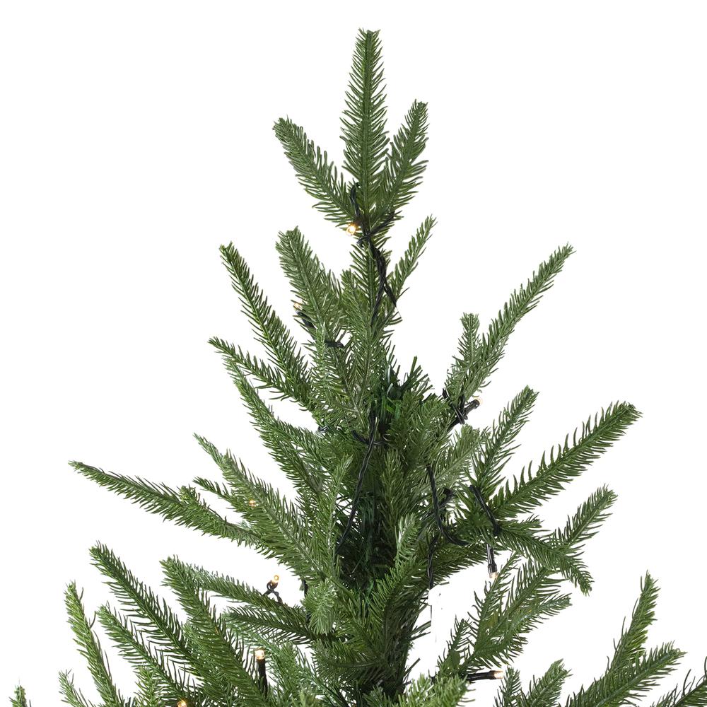 7.5' Pre-Lit Full Silverthorne Fir Artificial Christmas Tree - Clear Lights. Picture 3