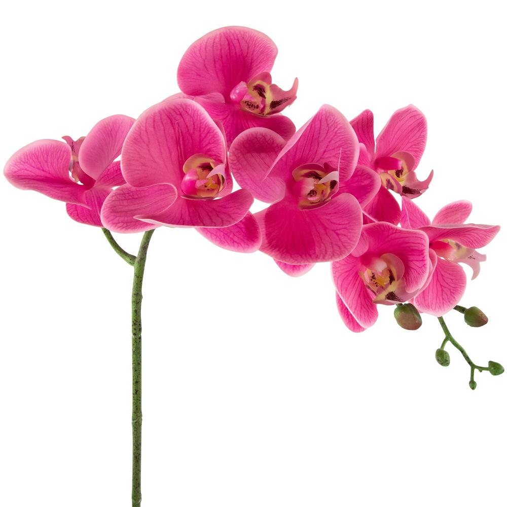 Real Touch™ Pink Artificial Spring Orchids in a Striped Ceramic Pot 2". Picture 2