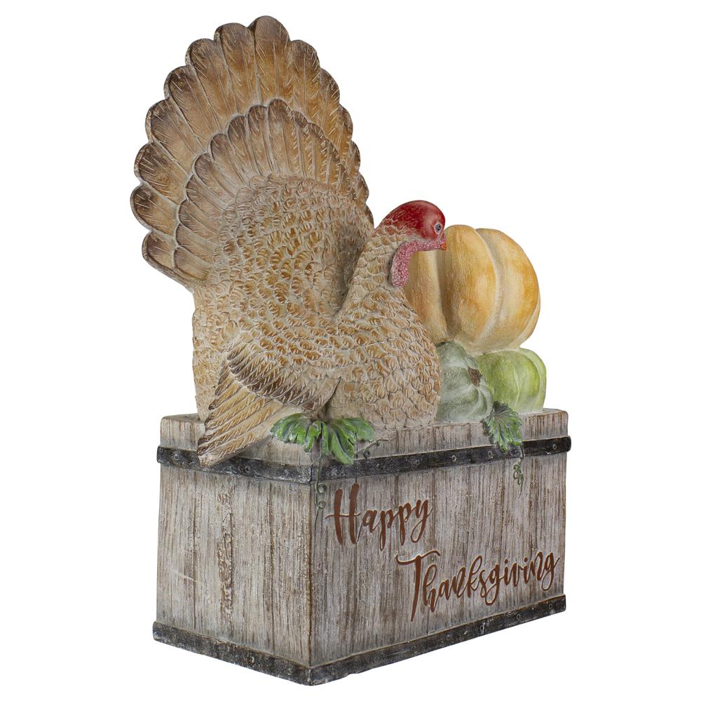 20.25" Turkey and Pumpkins 'Happy Thanksgiving' Decoration. Picture 2