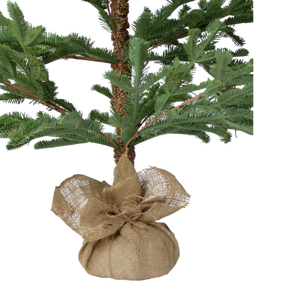 5' Green Ponderosa Pine Artificial Christmas Tree with Jute Base- Unlit. Picture 5