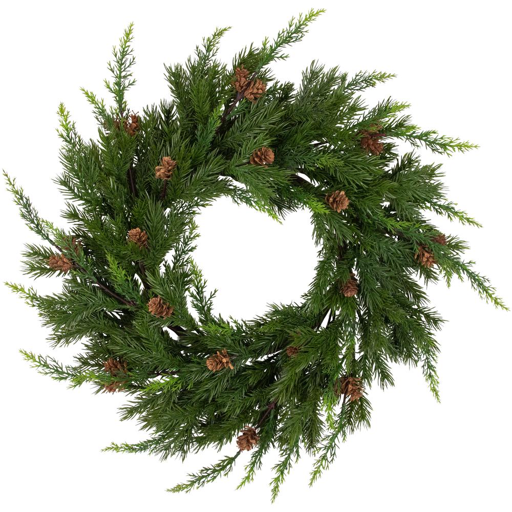 Cypress and Pine Cone Artificial Christmas Wreath  24-Inch - Unlit. Picture 1