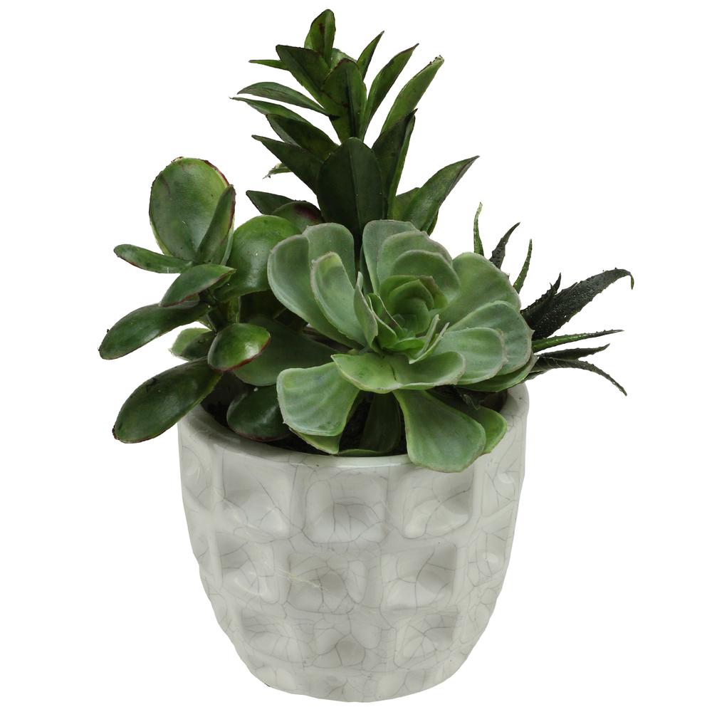 9.5" Green and White Artificial Mixed Spring Potted Succulent Plant. Picture 1