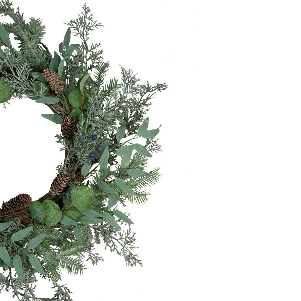 Frosted Green Mixed Foliage and Blueberries Christmas Wreath 26-Inch Unlit. Picture 3