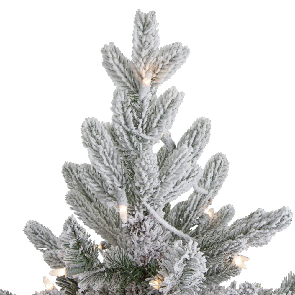 4' Pre-Lit Flocked Saratoga Spruce Artificial Christmas Tree in Pot - Clear Lights. Picture 4