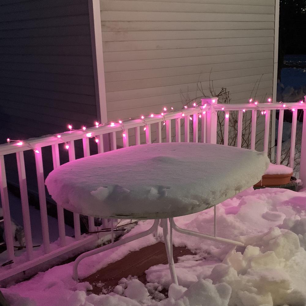 100 Pink LED Mini Christmas Lights - 33 ft White Wire. Picture 3