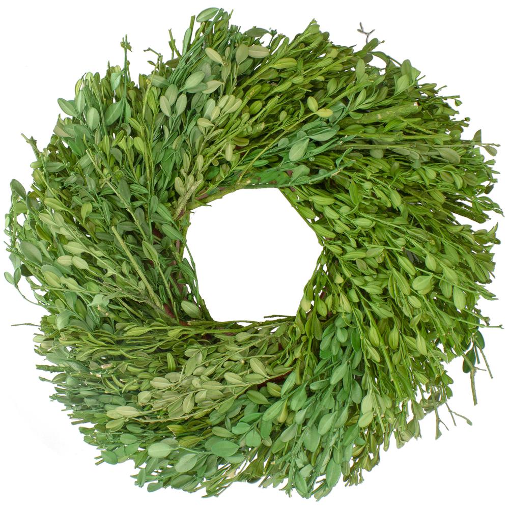 Green Foliage Artificial Spring Wreath  11-Inch. Picture 1