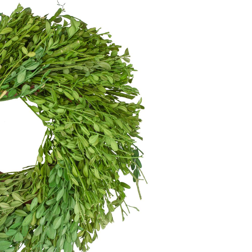 Green Foliage Artificial Spring Wreath  11-Inch. Picture 2