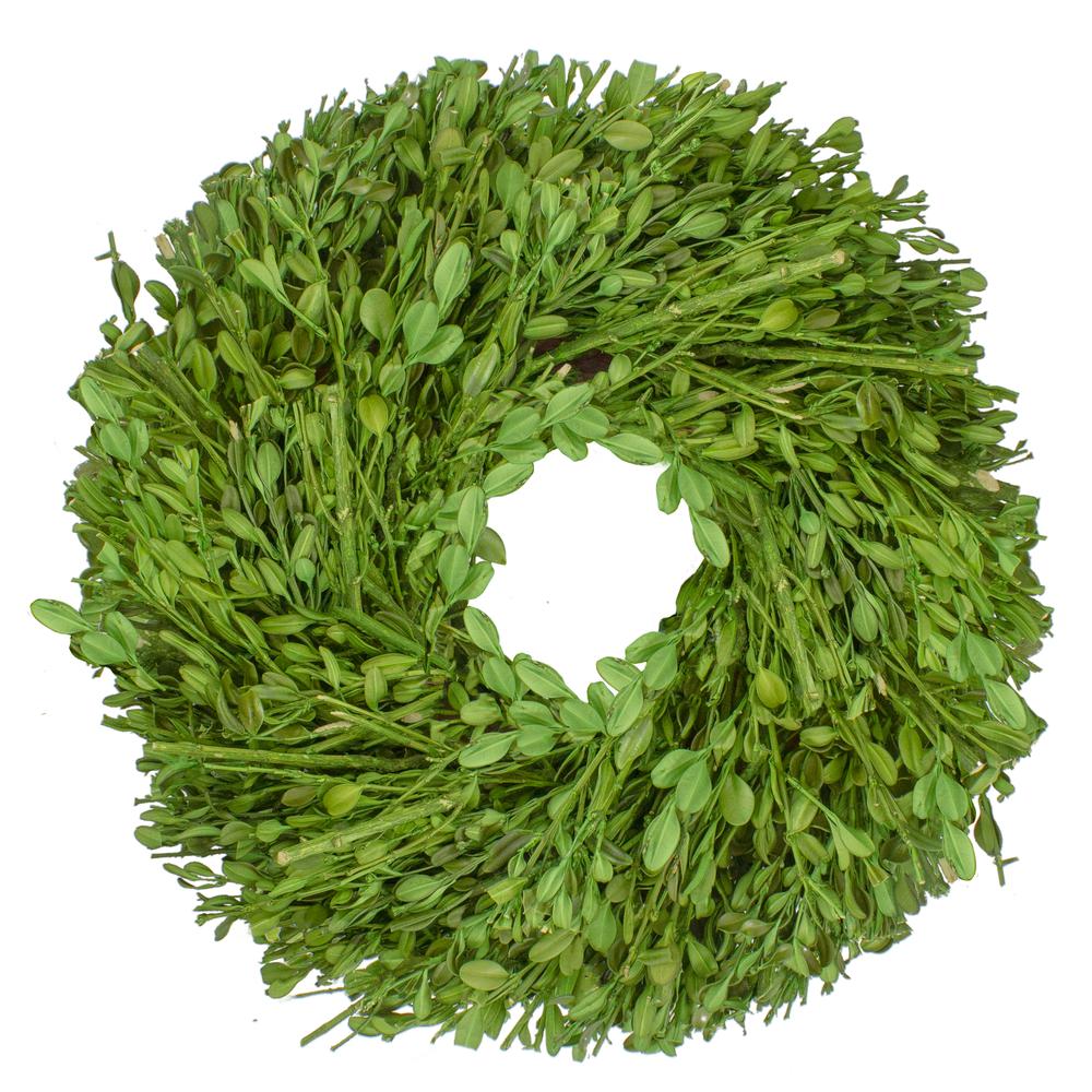Green Foliage Artificial Spring Wreath  10-Inch. Picture 1
