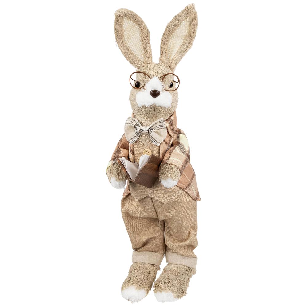 Rustic Boy Rabbit Easter Figure with Book - 16.25" - Beige. Picture 1