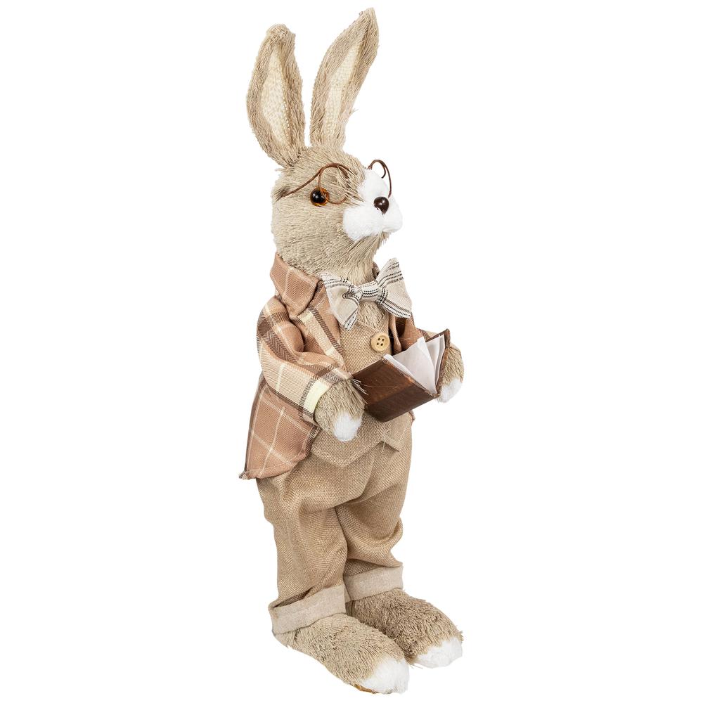 Rustic Boy Rabbit Easter Figure with Book - 16.25" - Beige. Picture 2