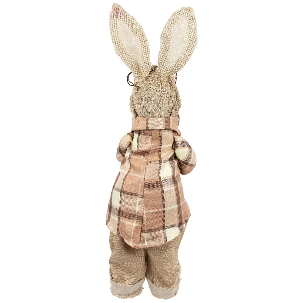 Rustic Boy Rabbit Easter Figure with Book - 16.25" - Beige. Picture 3