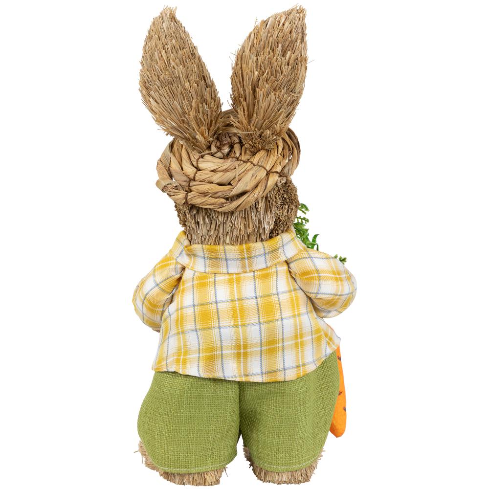 Rustic Boy Rabbit with Carrot Standing Easter Figure - 13.75". Picture 4